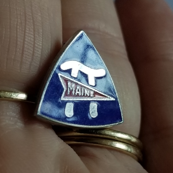Vintage NEA Maine lapel pin red, white, and blue enamel silver tone - Picture 5 of 10